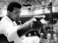 Float like a butterfly...